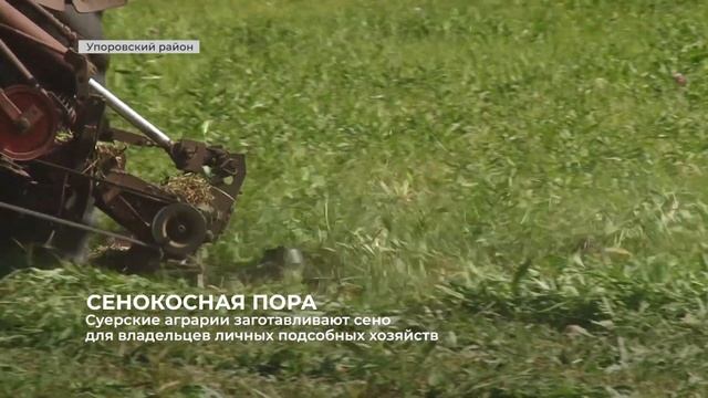 В ООО «Тобол» заготавливают грубые корма для скота личных подворий