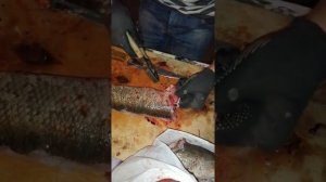 Чистка змей голову.