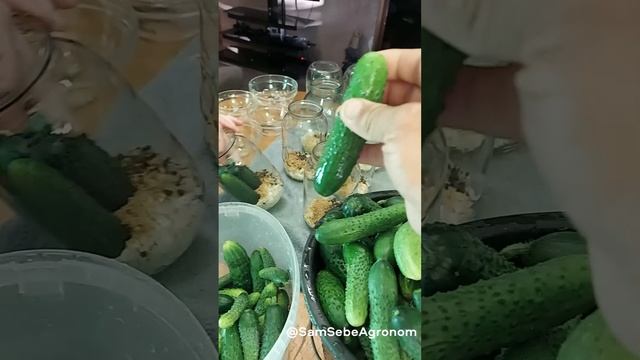 САМЫЙ ЛУЧШИЙ РЕЦЕПТ МАРИНОВАННЫХ ОГУРЧИКОВ. Огурчики "По-берлински", те самые, что продает Дядя Ван