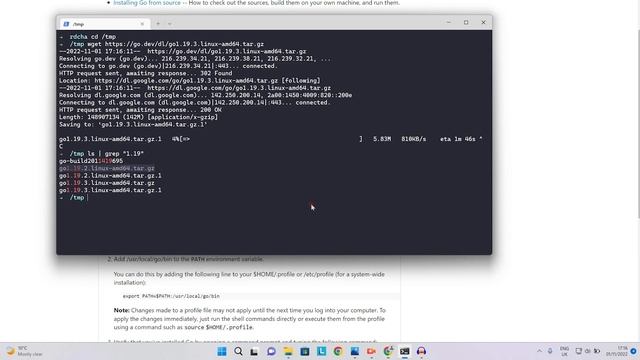 How to install Go on Windows 11 using WSL 2 смотреть онлайн