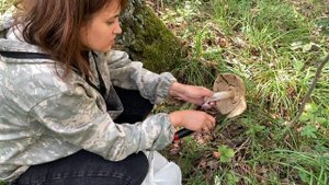 Грибы в Свердловской области августовский поход в лес