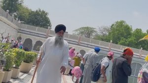 Индия 04 2023  Дели Джайпур Пушкар Агра