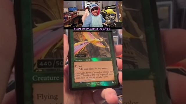 CRAZY GUY PULLS BIRDS OF PARADISE SERIAL #mtg #streaming #magic