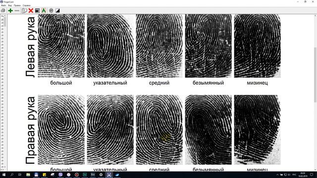 Двойные петли - путь химеры смотреть онлайн
