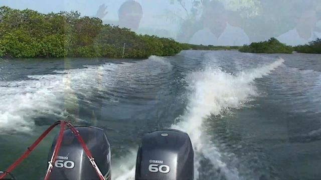 Куба рядом. Cuba diving смотреть онлайн