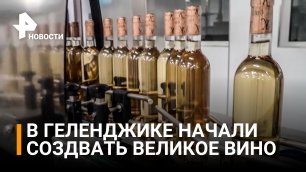 В Геленджике начали создавать уникальное вино по новым технологиям / РЕН Новости