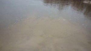 P1270217 на речной косе ,,Цыганка,.на реке Хопёр от Новохопёрска  всего менее  1000 метров !!!