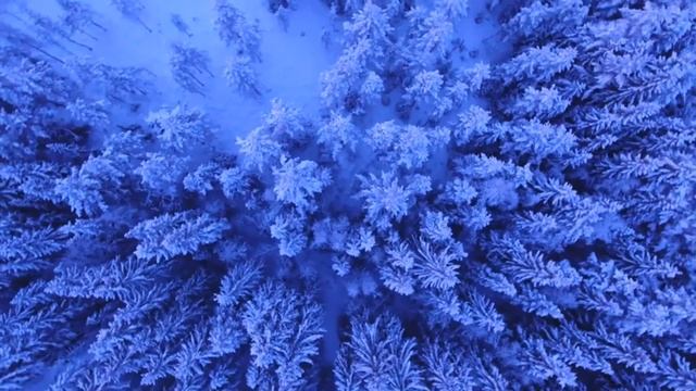 Relaxing Music for Stress free l Sleeping Music смотреть онлайн