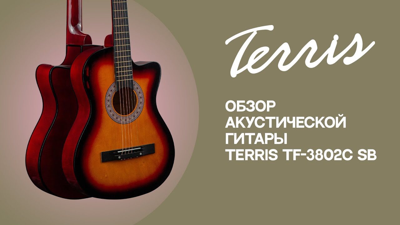 Обзор акустической гитары TERRIS TF-3802C SB