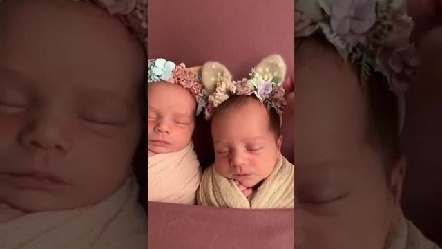 Ролик ДВОЙНЯ Злата и Яра смотреть онлайн