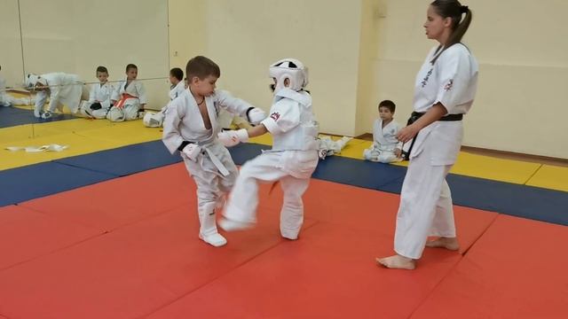 Кумитэ каратэ Кёкусинкай дети.