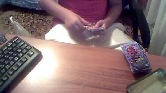 Видео c веб-камеры от 4 сентября 2015 г., 16:21 (UTC) смотреть онлайн