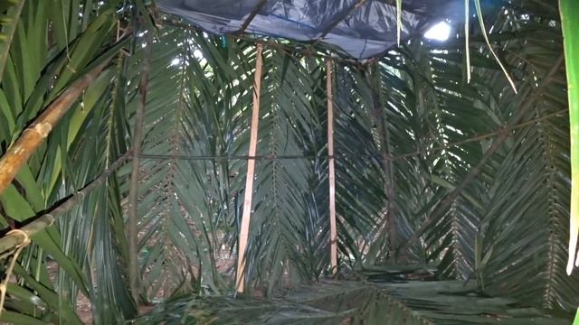 ✅Строим ДОМ из БАМБУКА на НЕОБИТАЕМОМ ОСТРОВЕ ⚓️ Нашли АБОРИГЕНА смотреть онлайн