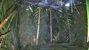 ✅Строим ДОМ из БАМБУКА на НЕОБИТАЕМОМ ОСТРОВЕ ⚓️ Нашли АБОРИГЕНА