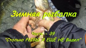Зимняя рыбалка.Часть - 39 "Столько РЫБЫ Я ЕЩЁ НЕ Видел".