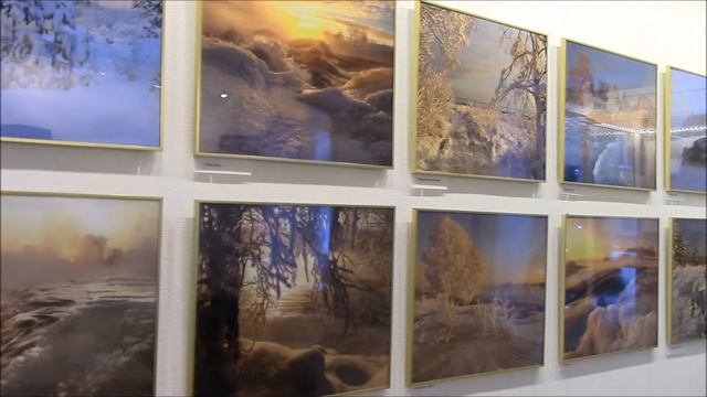 Виктор Дрягуев  о выставке "Беломорск. Зимняя сказка"