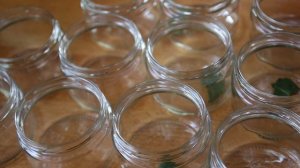 Утка с яблоками в автоклаве  Утиная домашняя тушенка