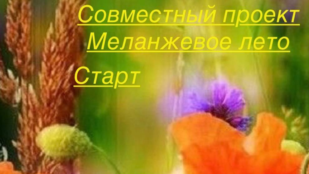 Старт. СП Меланжевое лето #меланжевоелето#богинипряжи#вязание