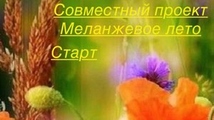 Старт. СП Меланжевое лето #меланжевоелето#богинипряжи#вязание