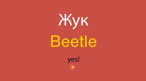 Жук по-английски