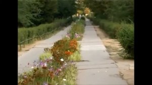 Харабали лучший мой городок