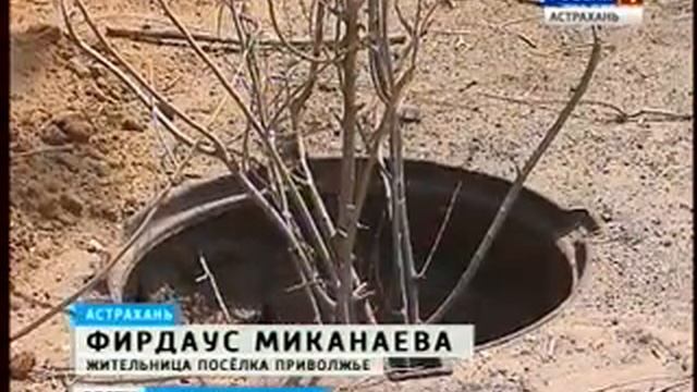 Приволжские джунгли смотреть онлайн