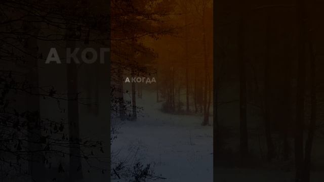 Мусульмане не отмечают Новый год #shorts #новыйгод #ислам #кавказ #религия #дагестан #чечня смотреть онлайн