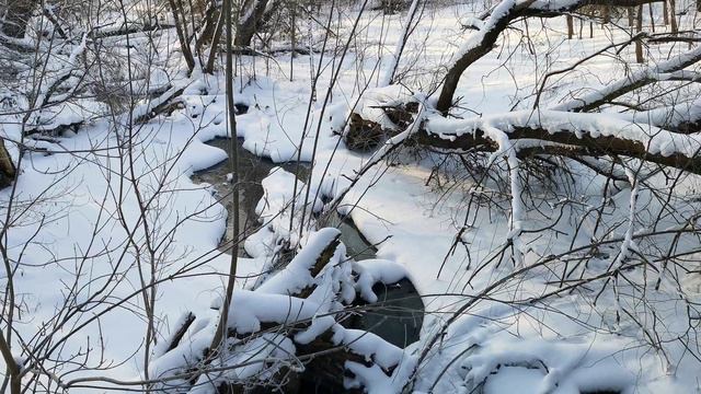 Течение реки зимой. Зимняя природа. Незамерзающая река в 4К. #relax #winternature #riverwinter