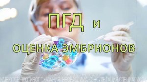 ПГД и оценка эмбрионов