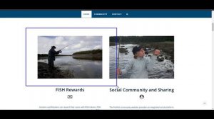 PROFISH - подробный обзор проекта