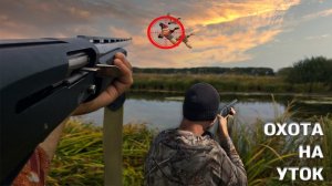 ОХОТА НА УТКУ С ПОДХОДА. МЕТКИЙ ВЫСТРЕЛ