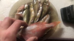 Как сварить уху из девяти ершей? Секрет!