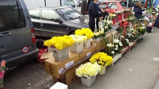 РЫНОК ЦВЕТОВ СЕРБИЯ 8 МАРТА Цветочный рай
