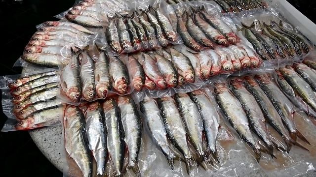 СЕЛЬДЬ ДОНСКАЯ! Выпуск №650 смотреть онлайн