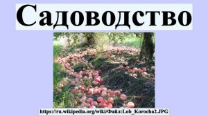 Садоводство