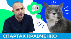 Питомец не ходит в туалет - что делать? | Короче, Омск 479