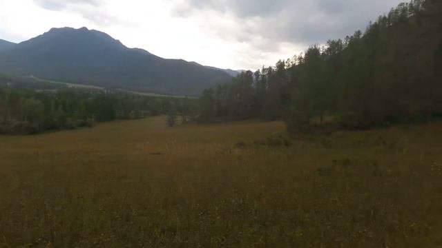 Участок с. Тихонькая, Усть-Коксинский район, 04:08:090705:164