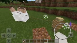 Необычные животные