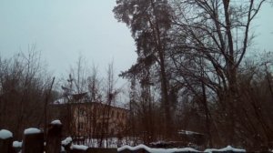 Куры голошейки несушки зимой в мороз -20 в курятнике! Голошейная порода кур, цветной бройлер.