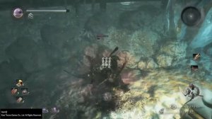 Nioh минибосс учимся парировать