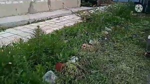 Усовершенствование натяжителя ремня на роторной косе Заря.
