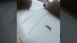 Land Rover Range Rover vogue 4.4 M62  Проблемы и поломки  На что обратить внимание при покупке