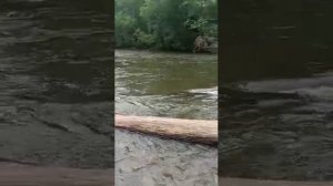 Природа ,  Мухен, Хабаровский  край