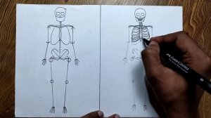 How to draw human skeleton step by step very easy method