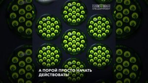 С Днём рождения, наш верный друг и товарищ светофор!