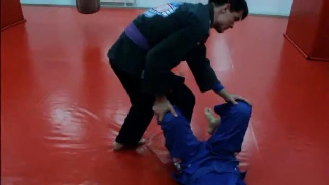 Демонстрация техник Бразильского Джиу Джитсу. смотреть онлайн