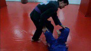 Демонстрация техник Бразильского Джиу Джитсу.