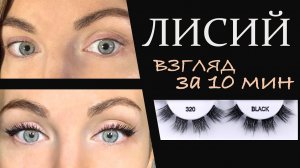 Лисий взгляд за 10 минут в домашних условиях