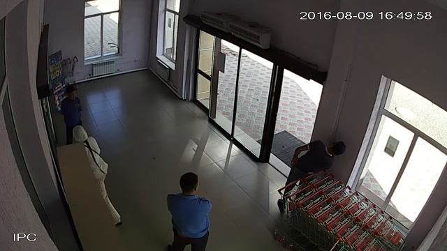 Ремонт распашных дверей