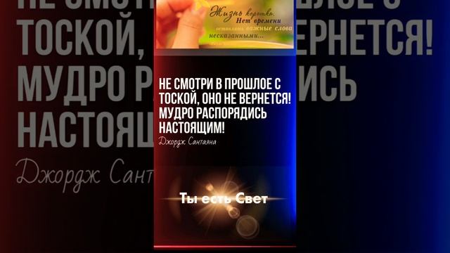 Полезные Фразы И Афоризмы Взятые Из Жизни Для ятвоей Души